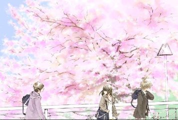 水宜方养生视频在线观看